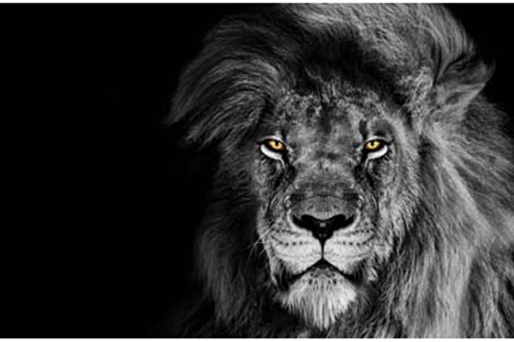 いわき市にてホームページ制作なら、オーノサービスへ。